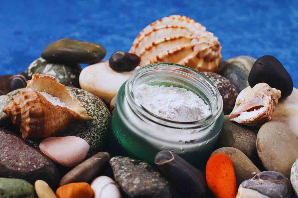 Conchiglie mare e collagene marino